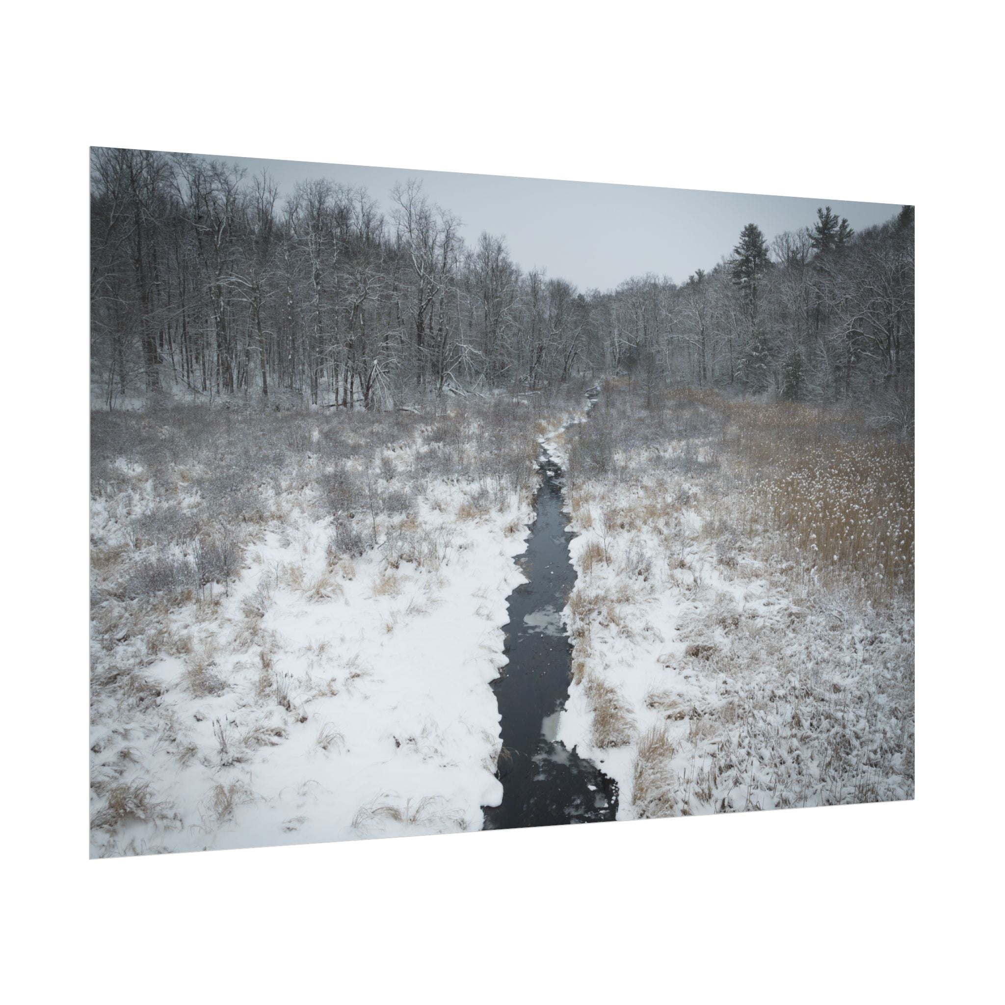 Winter - Montgomery, MA - Moose Meadow Brook - Rolled Poster