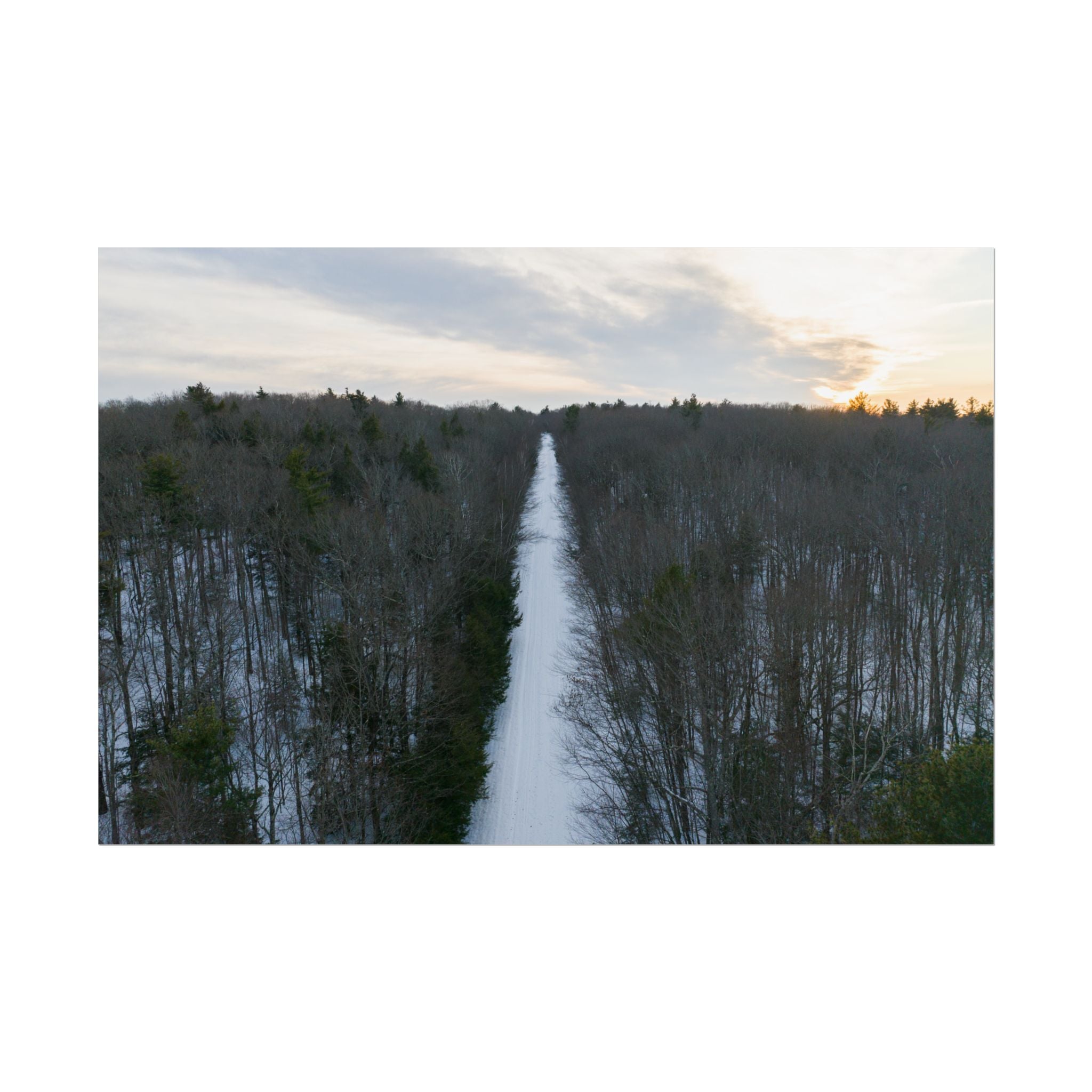 Road to A Wintry Tolland Campground - Otis, MA - Rolled Poster
