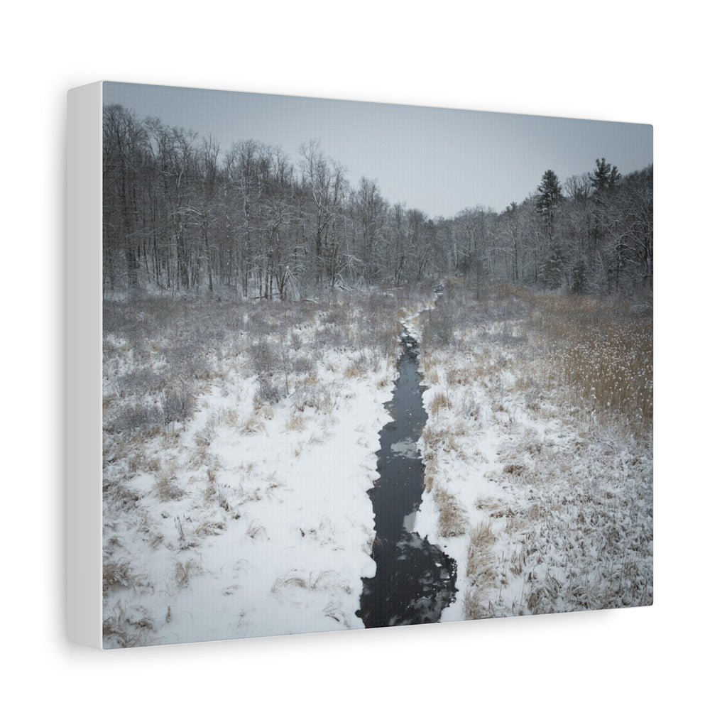 Winter - Montgomery, MA - Moose Meadow Brook - Canvas