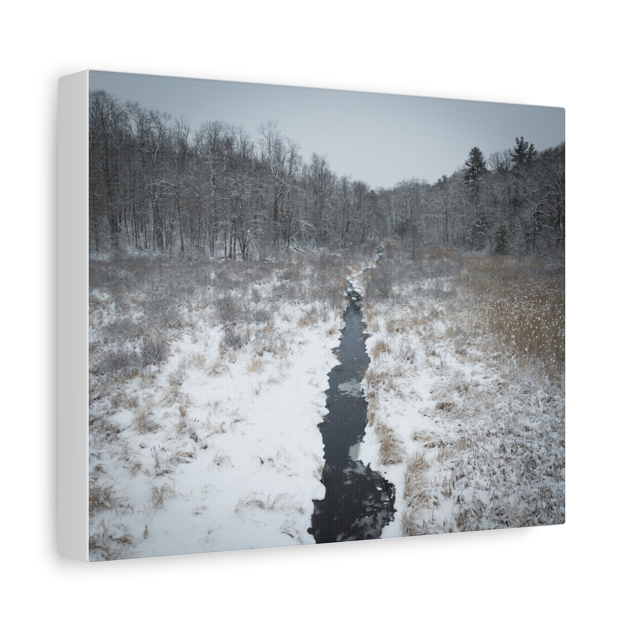 Winter - Montgomery, MA - Moose Meadow Brook - Canvas