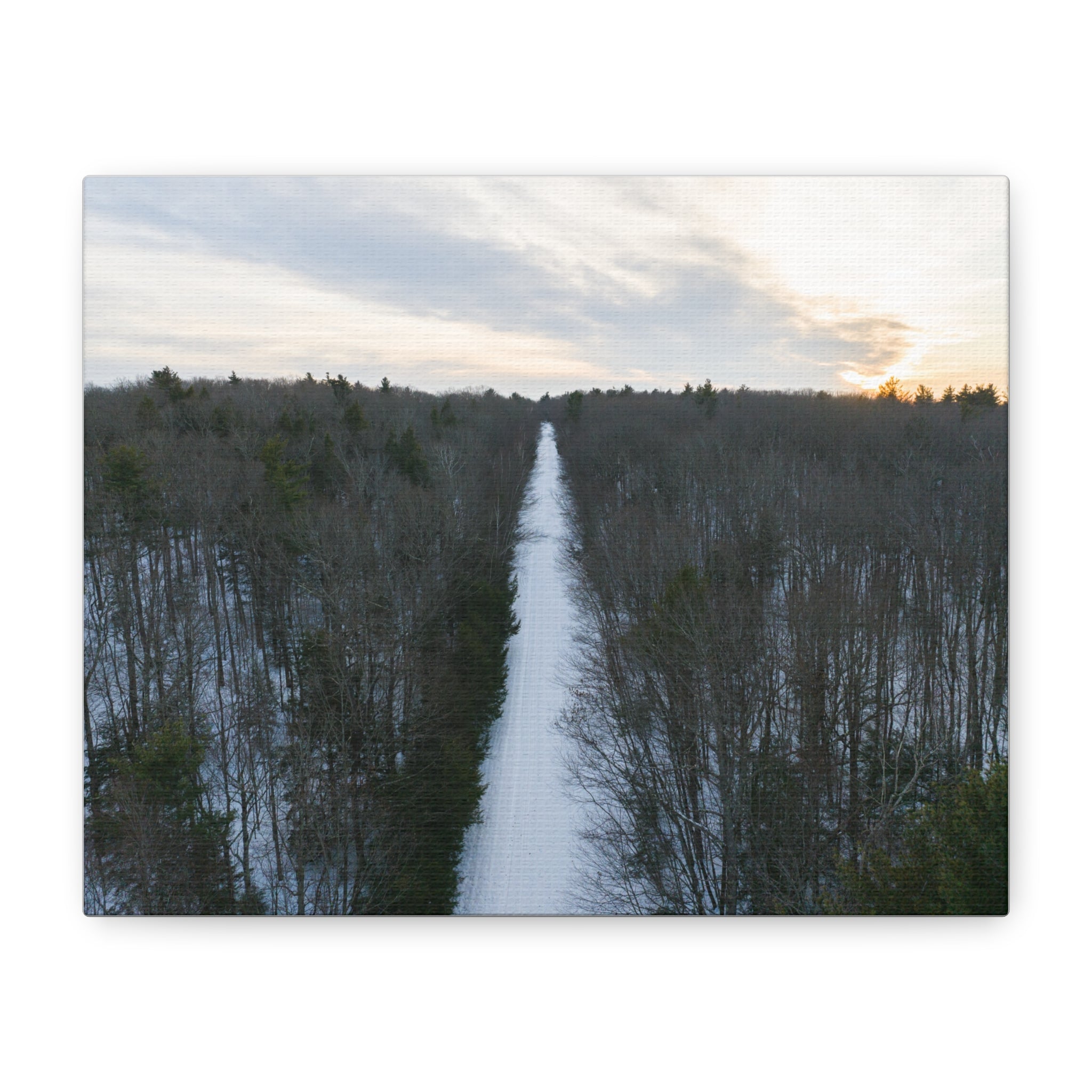 Road To A Wintry Tolland Campground - Otis, MA - Canvas
