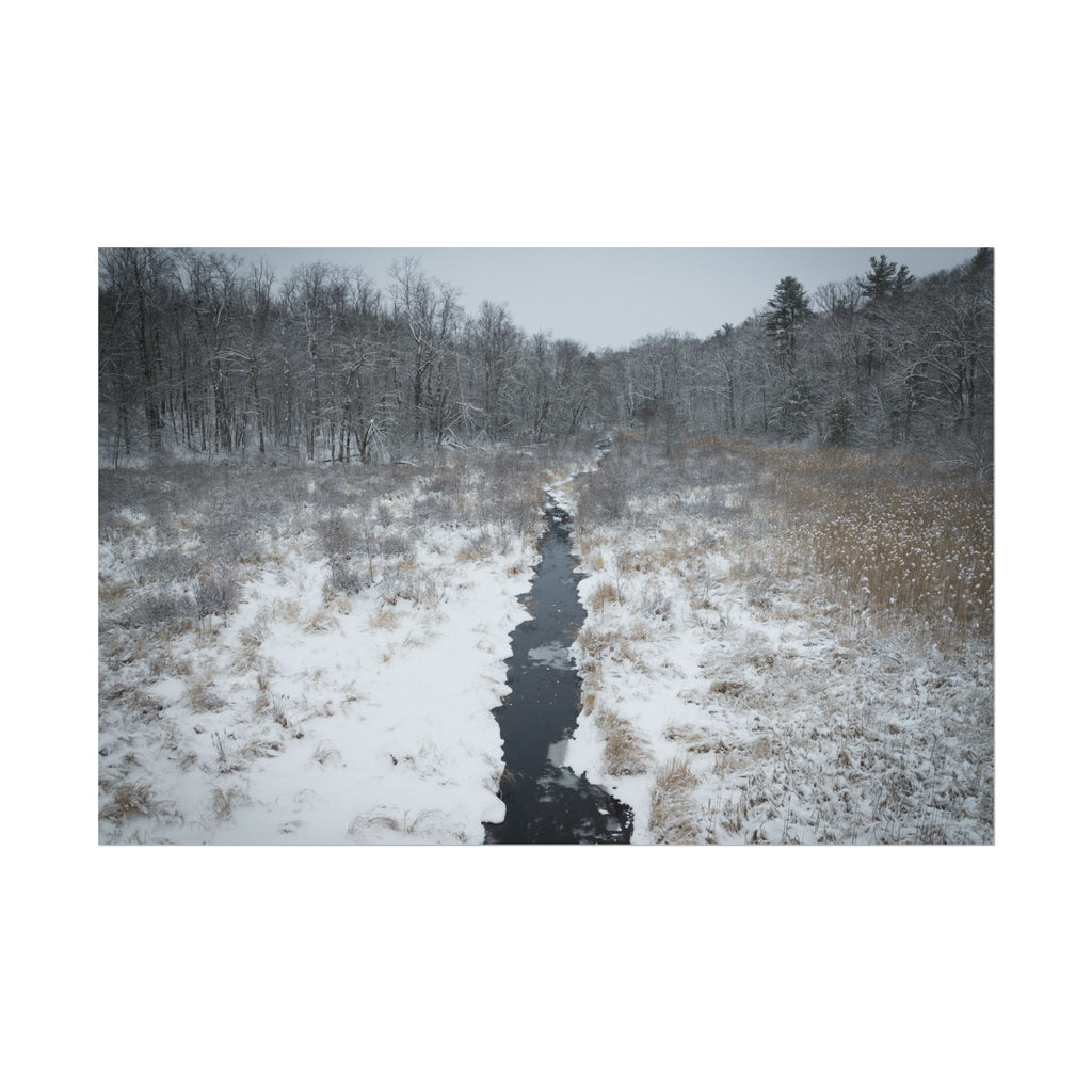 Winter - Montgomery, MA - Moose Meadow Brook - Rolled Poster