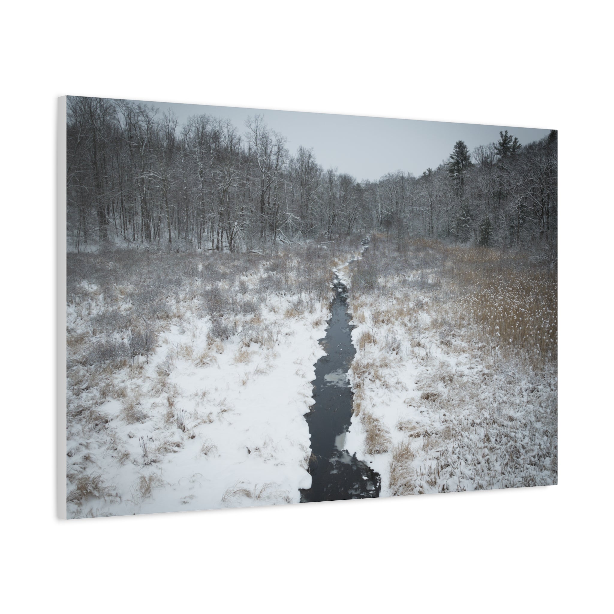 Winter - Montgomery, MA - Moose Meadow Brook - Canvas