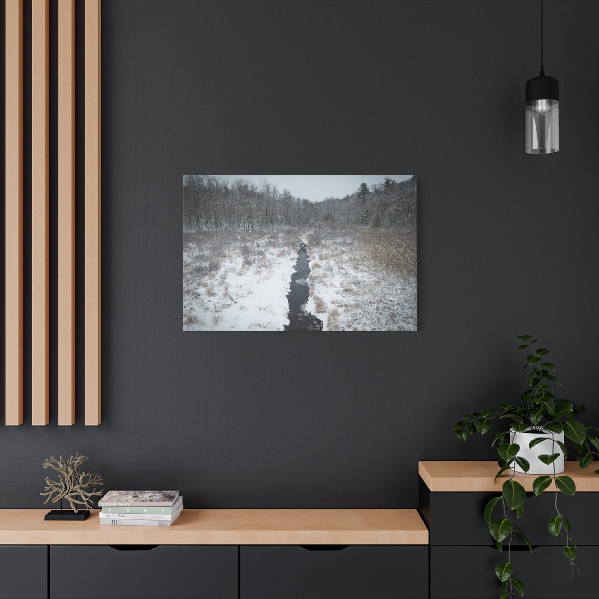 Winter - Montgomery, MA - Moose Meadow Brook - Canvas