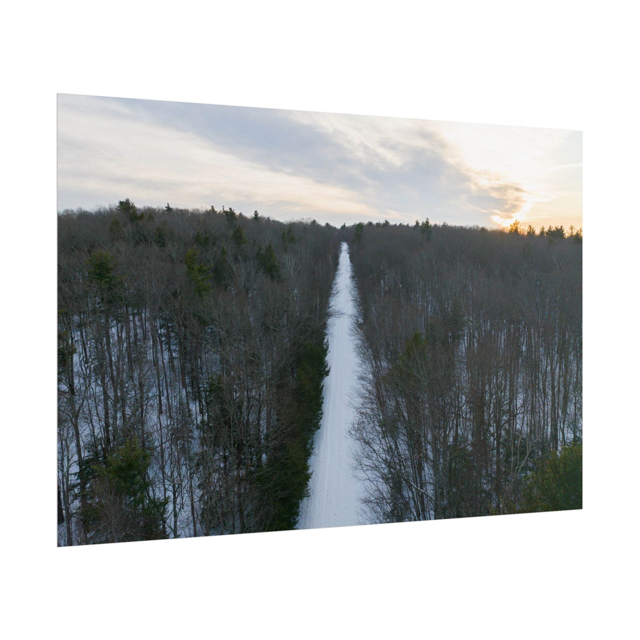 Road to A Wintry Tolland Campground - Otis, MA - Rolled Poster