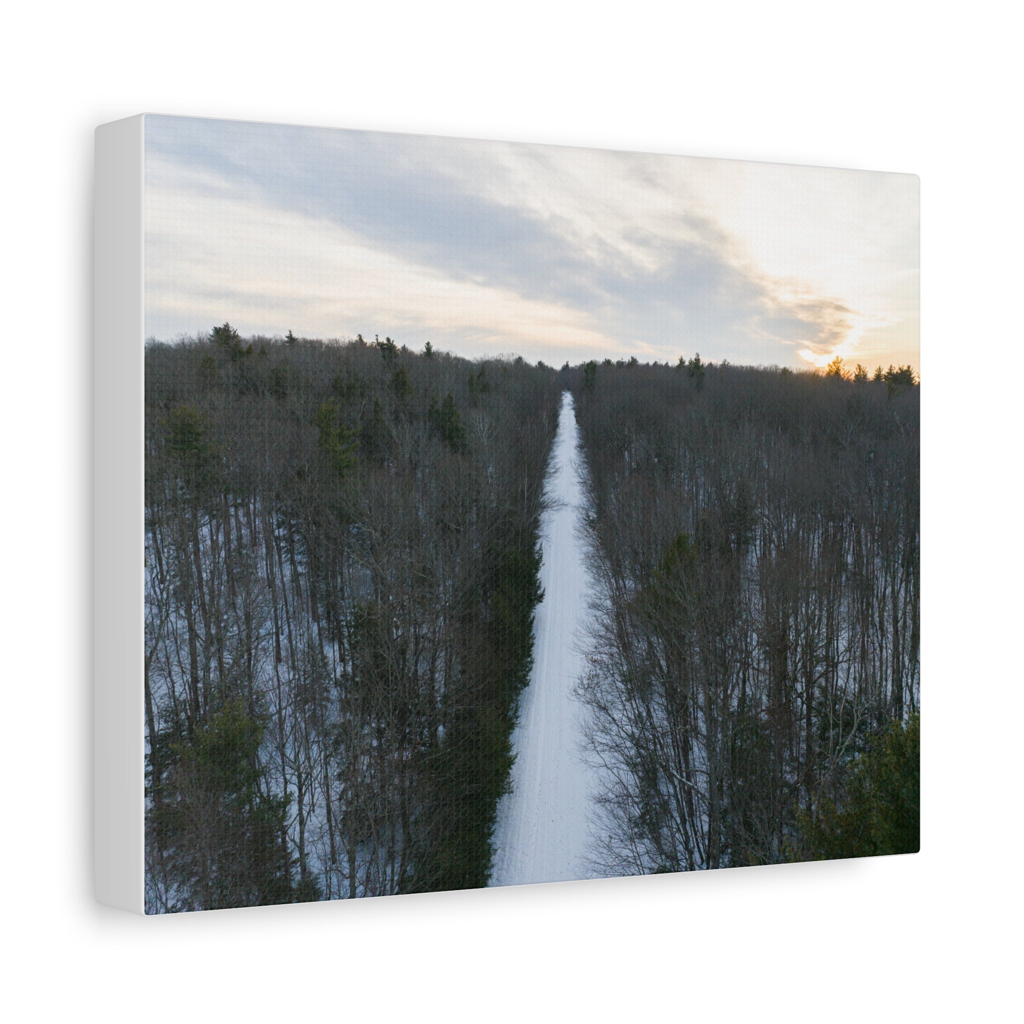 Road To A Wintry Tolland Campground - Otis, MA - Canvas