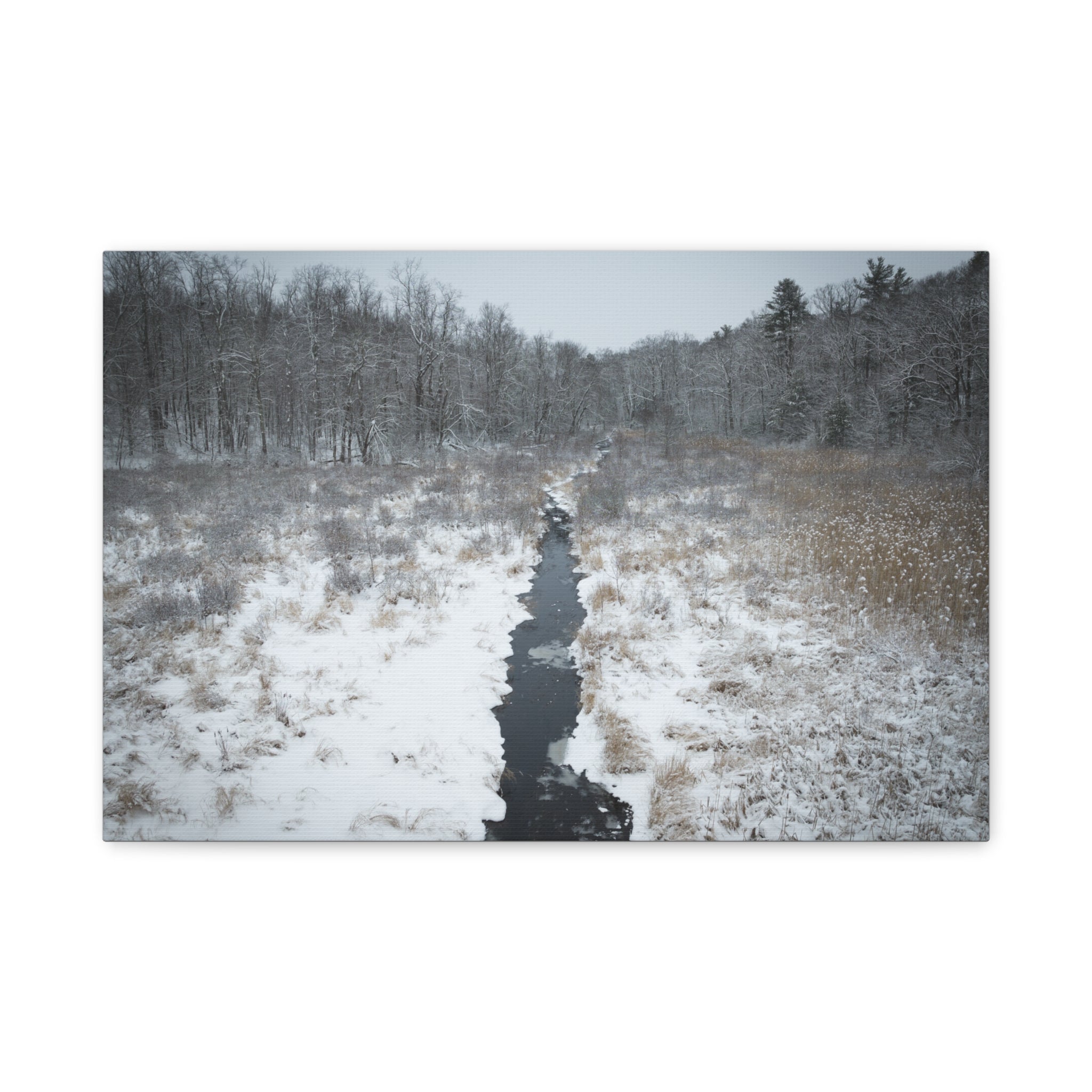 Winter - Montgomery, MA - Moose Meadow Brook - Canvas