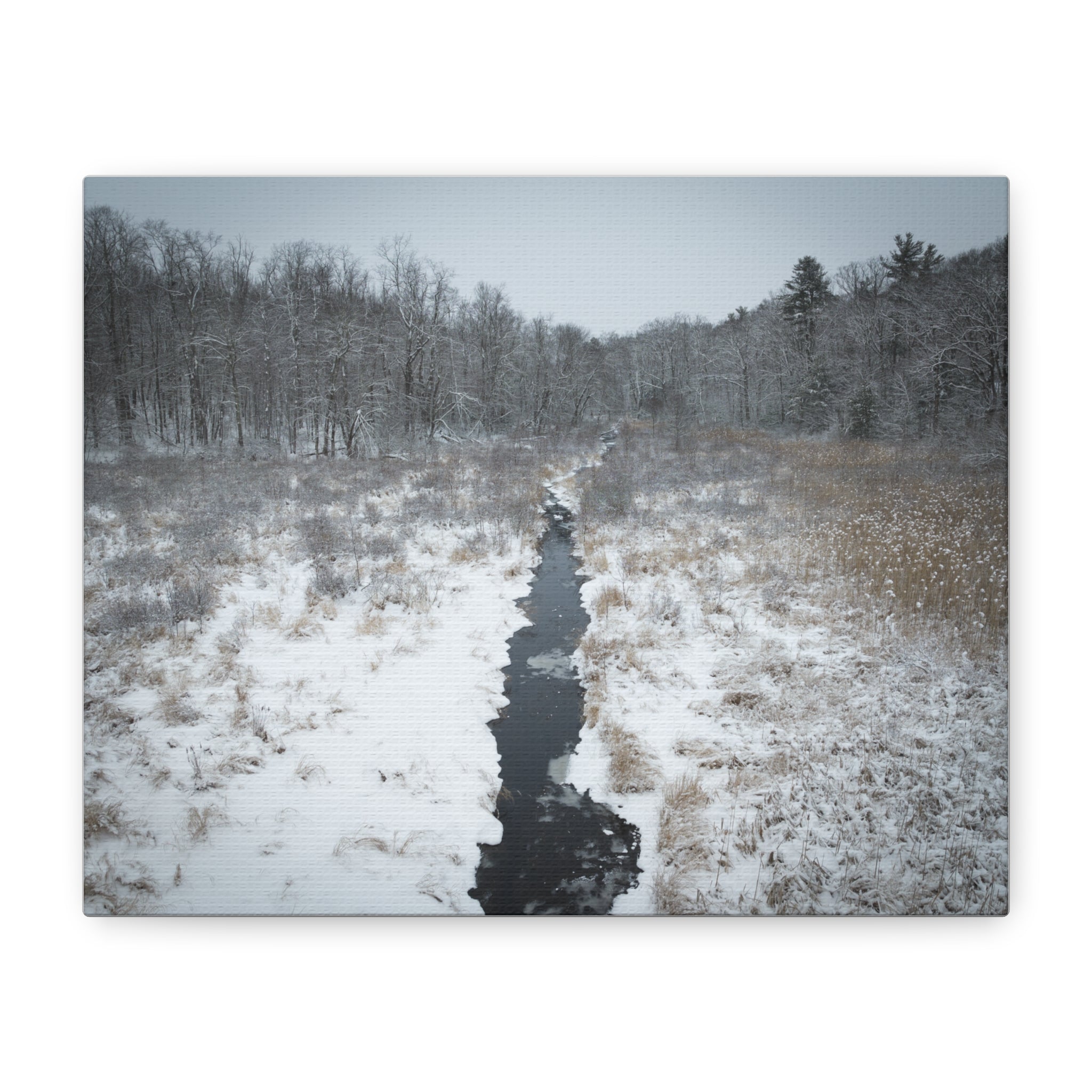 Winter - Montgomery, MA - Moose Meadow Brook - Canvas