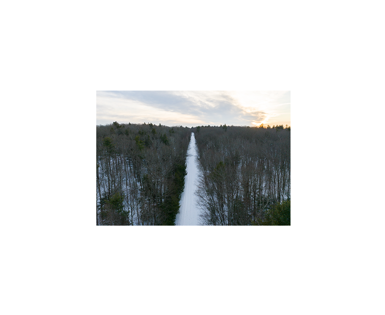 Otis Winter Loose Print