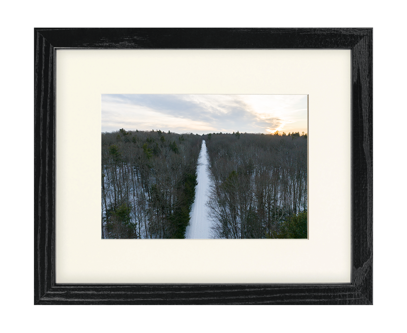 Otis Winter Wooden Framed Print